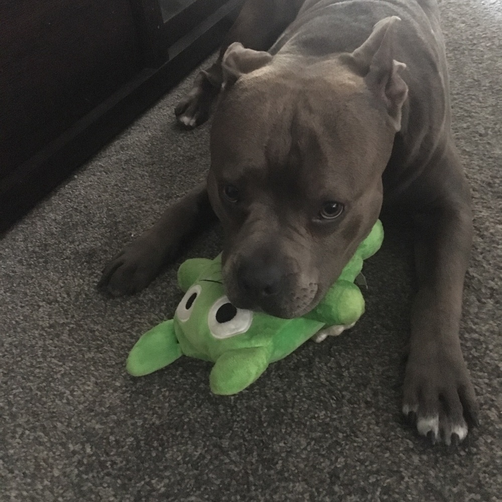 Meet your Posher, Christina